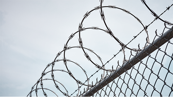 BEVA Razor® Project Reference